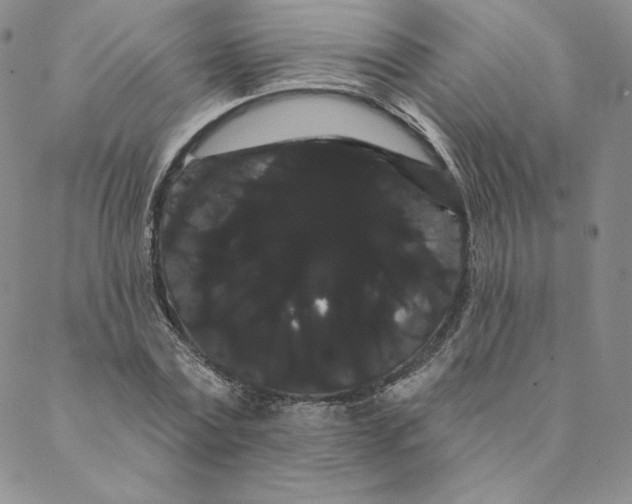 X0000088590779200706081327