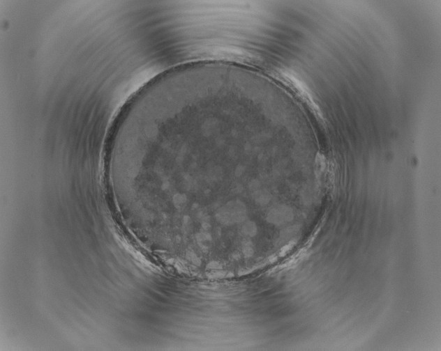 X0000088590780200706081327