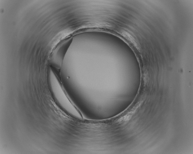 X0000088590781200706081327