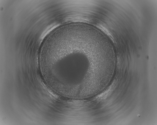 X0000088590782200706081327