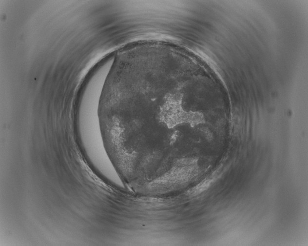 X0000088590783200706081327