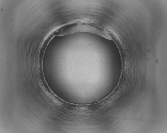 X0000088590784200706081327