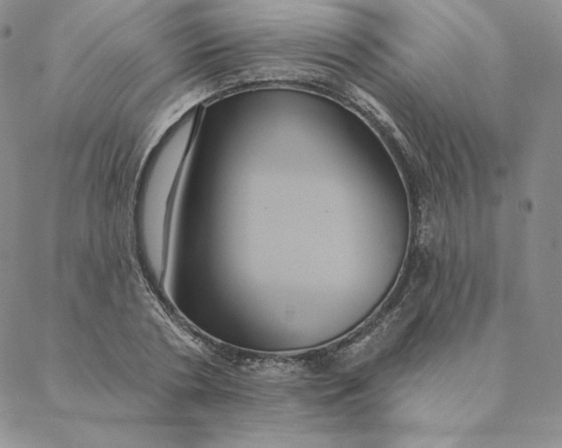 X0000088590786200706081327