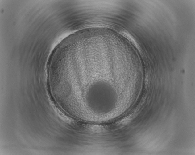 X0000088590787200706081327