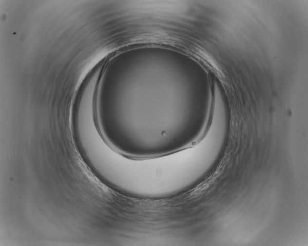 X0000088590788200706081327