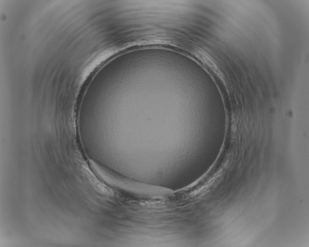 X0000088590789200706081327