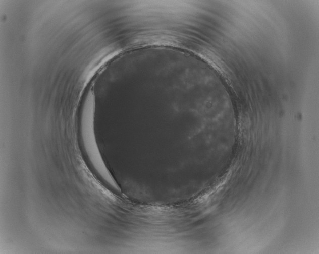 X0000088590790200706081326