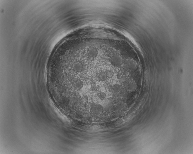 X0000088590791200706081326