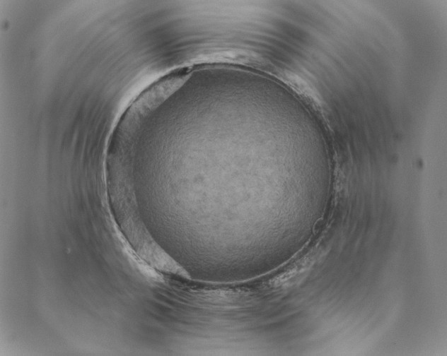 X0000088590792200706081326