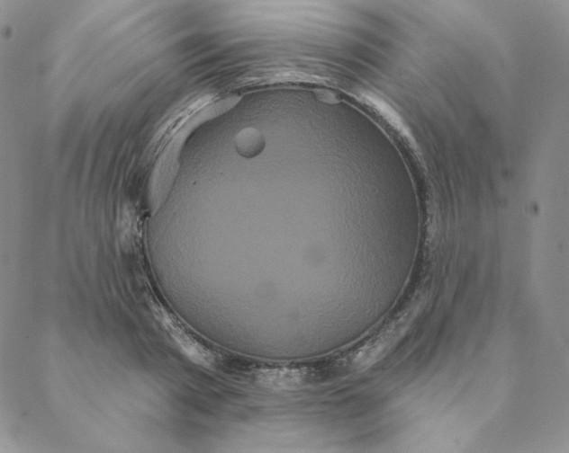 X0000088590793200706081326