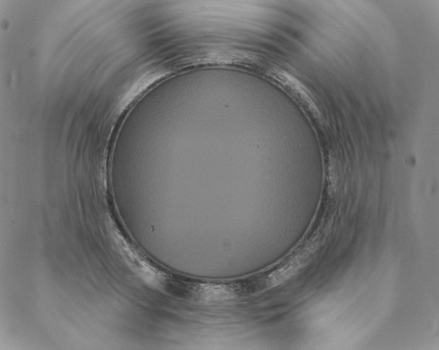 X0000088590794200706081326