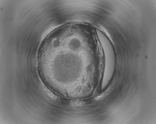 X0000088590795200706081326