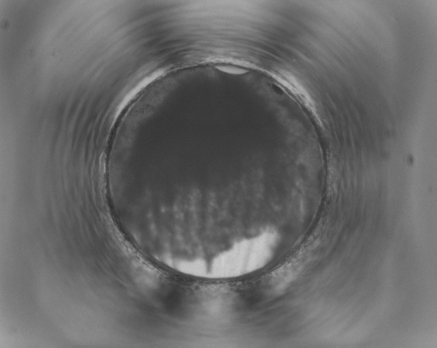 X0000088590798200706081326