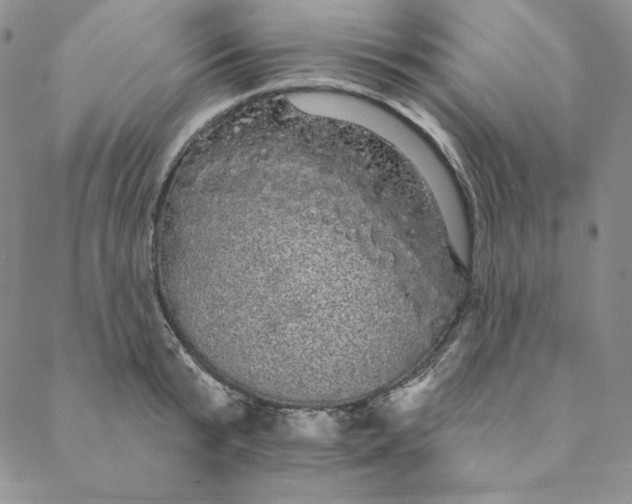 X0000088590799200706081326