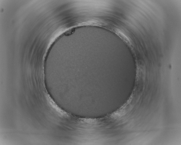 X0000088590800200706081326