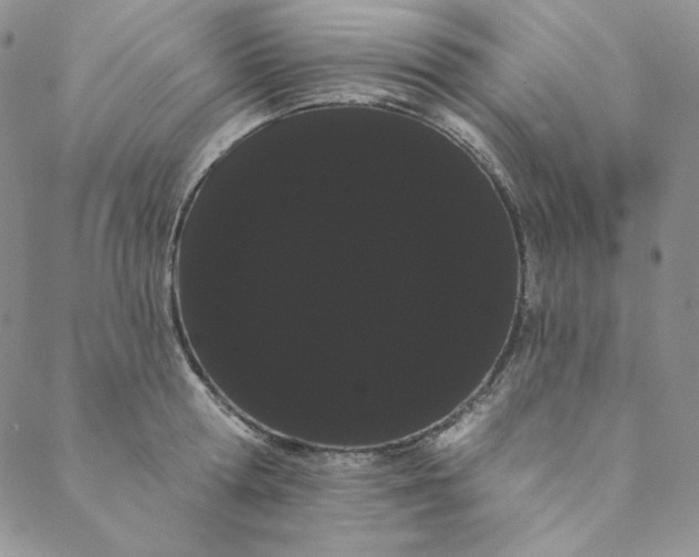 X0000088590802200706081326