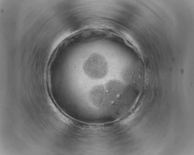 X0000088590803200706081326