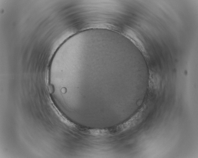 X0000088590804200706081326