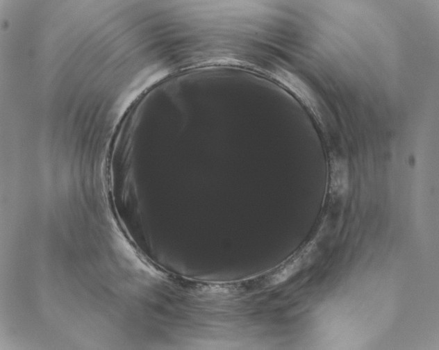 X0000088590806200706081326