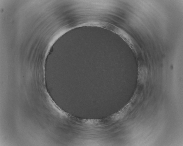 X0000088590808200706081326