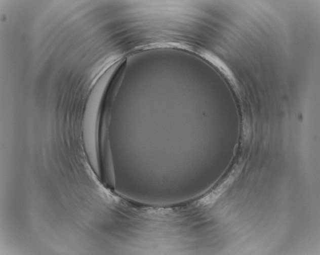 X0000088590809200706081326