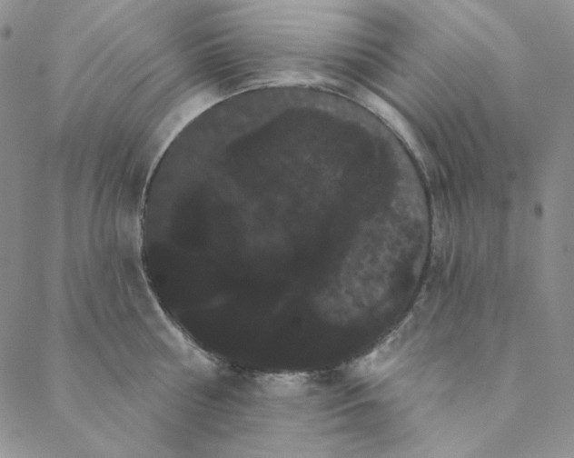 X0000088590810200706081326