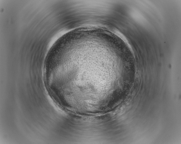 X0000088590811200706081326