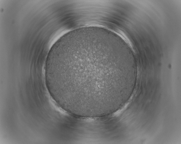 X0000088590814200706081326