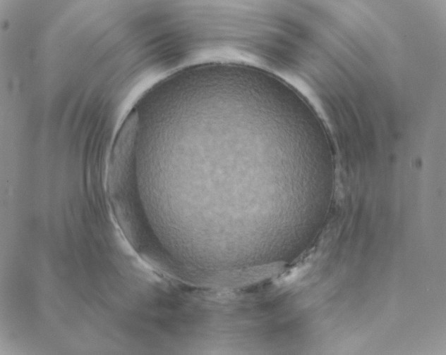 X0000088590815200706081326