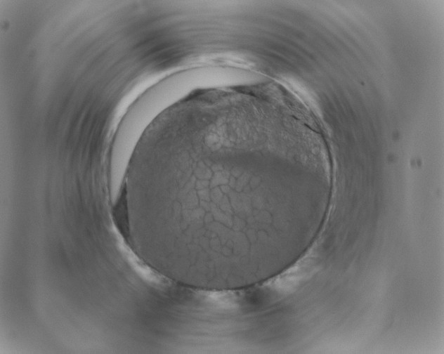 X0000088590816200706081326