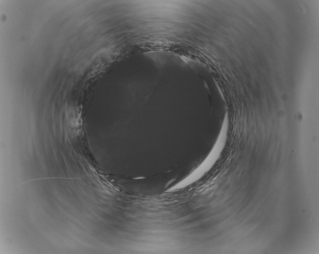 X0000088590818200706081325