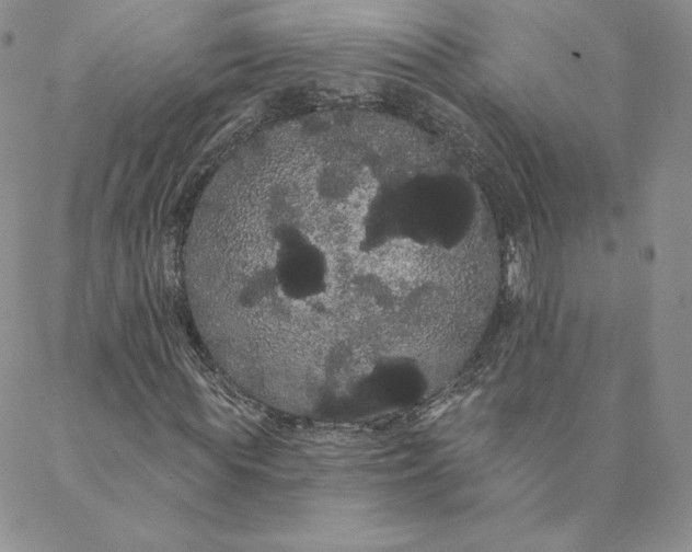 X0000088590819200706081325