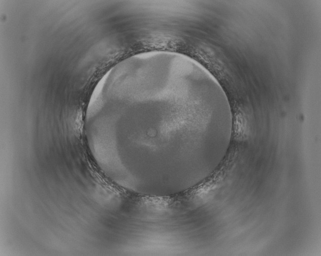 X0000088590820200706081325