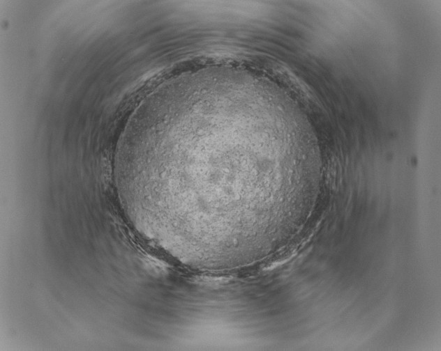 X0000088590821200706081325