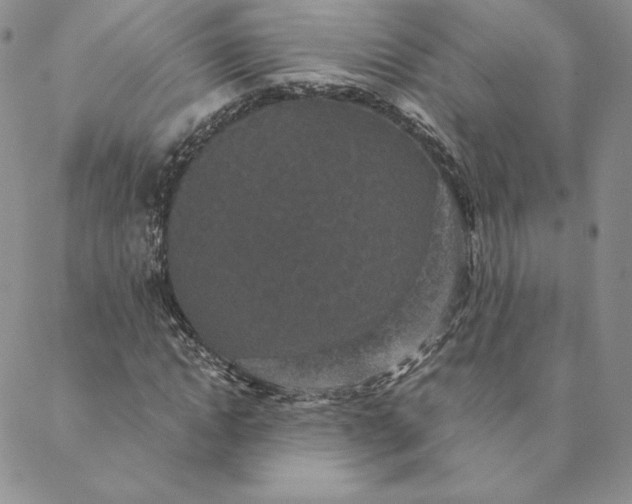 X0000088590822200706081325