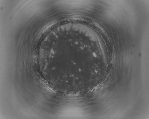 X0000088590823200706081325