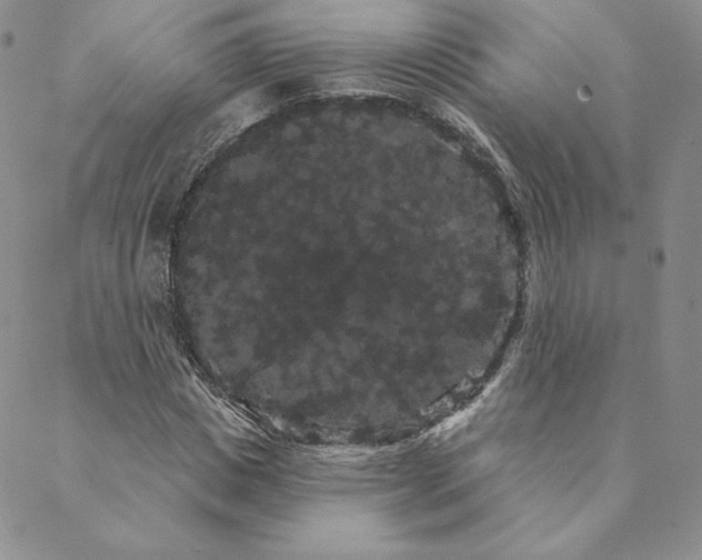 X0000088590825200706081325