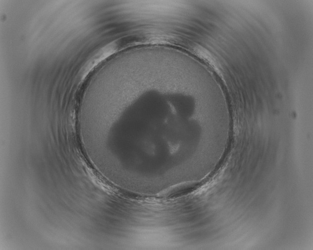 X0000088590827200706081325