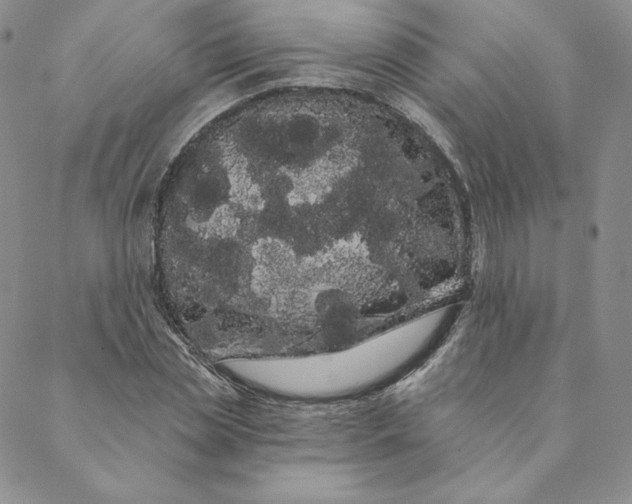 X0000088590829200706081325