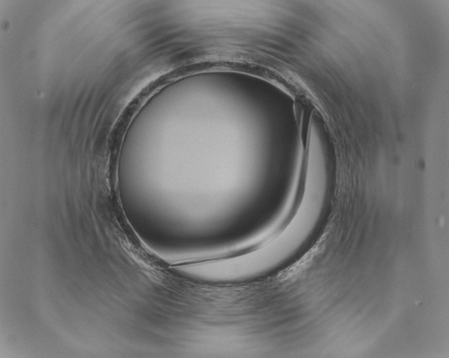 X0000088590830200706081326