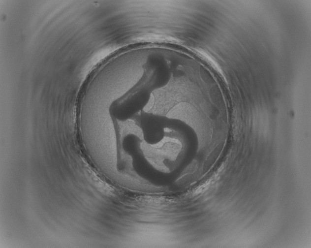 X0000088590831200706081326