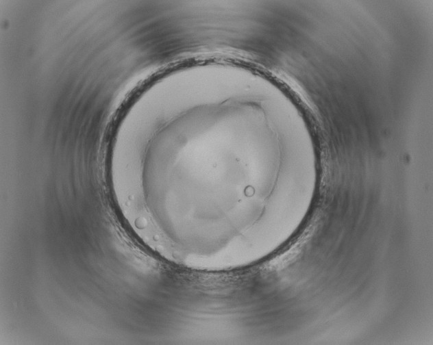 X0000088590832200706081326