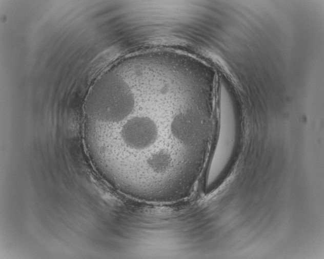 X0000088590833200706081326