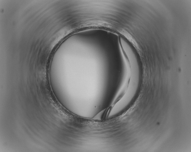 X0000088590834200706081326