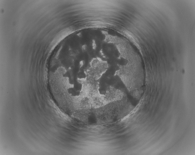 X0000088590835200706081326