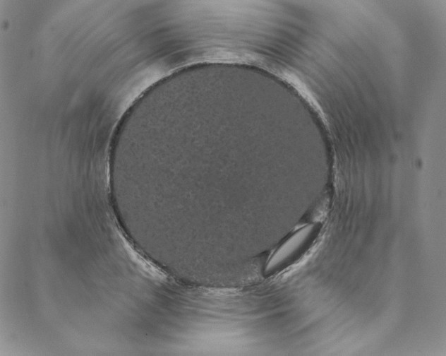 X0000088590837200706081326