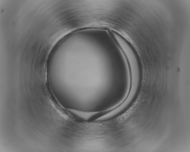 X0000088590838200706081326