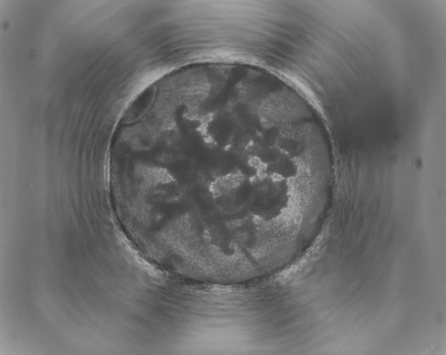 X0000088590839200706081326