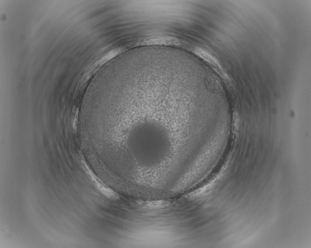 X0000088590841200706081326