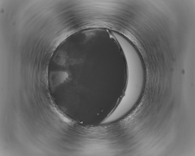 X0000088590842200706081326